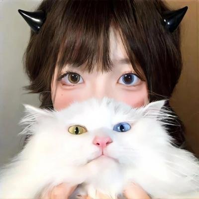 芦苇之歌